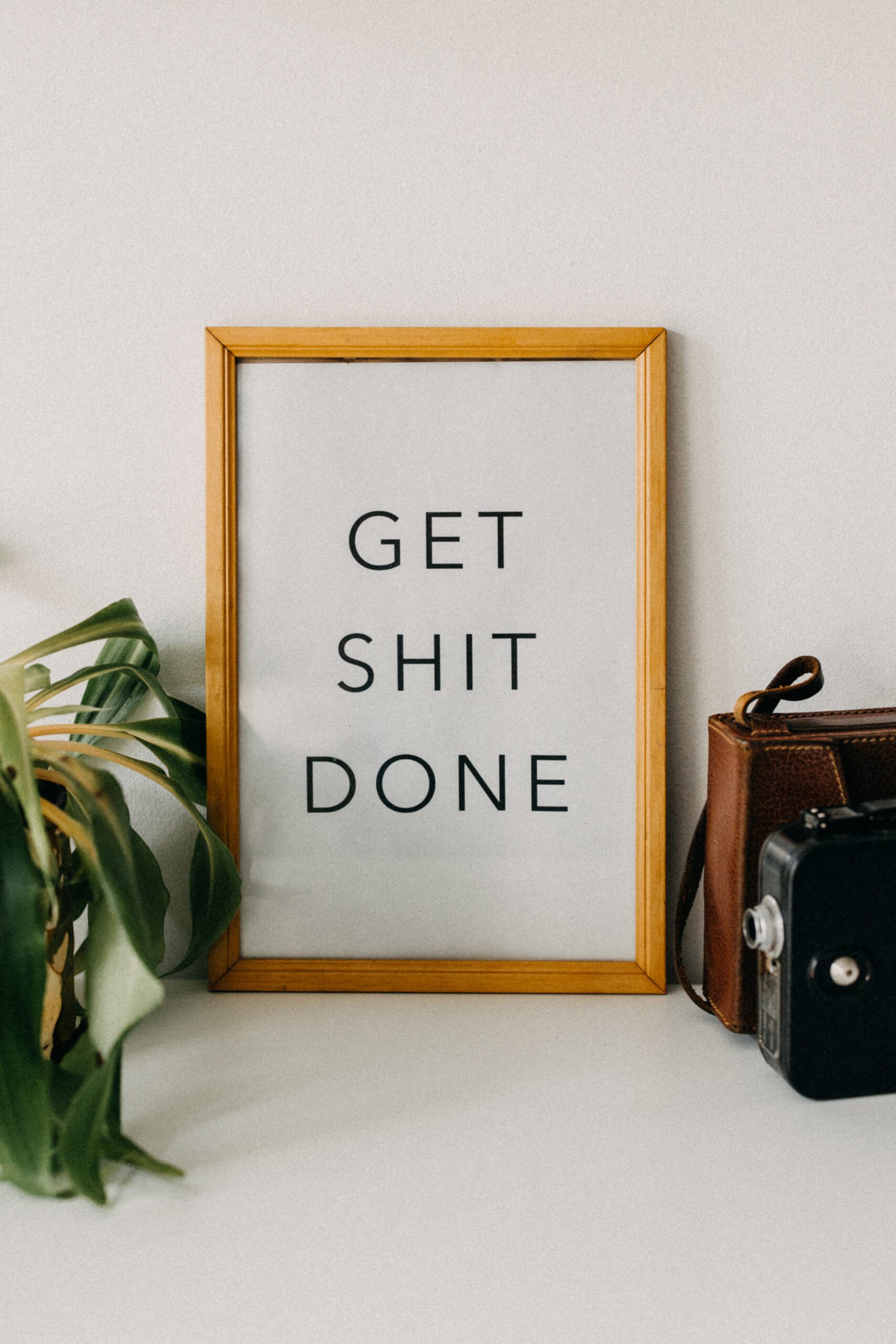 Tableau phrase inspirante "Get shit done" plante intérieur et appareil photo argentique